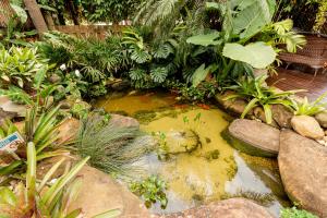 a pond in a garden with plants and rocks at Pousada Descanso do Rei - Vista Para o Mar & Melhor Localização da Praia do Rosa in Praia do Rosa