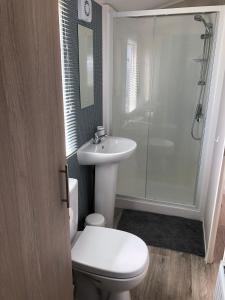 a bathroom with a toilet and a sink and a shower at Tranquility No 42 Port Haverigg Marina in Millom