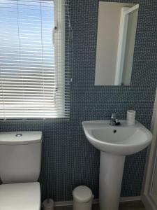a bathroom with a toilet and a sink and a mirror at Tranquility No 42 Port Haverigg Marina in Millom