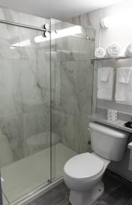 Un baño con inodoro y ducha de cristal. en Econo Inn, en Worland