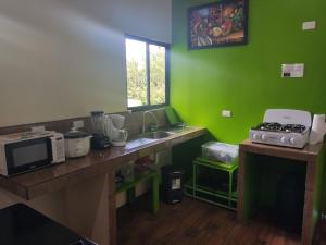 cocina con fregadero y pared verde en El Buda en Poás