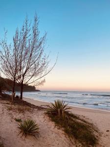 einen Sandstrand mit einem Baum und dem Meer in der Unterkunft Pousada Caminho do Mar MADHOUZE in Garopaba