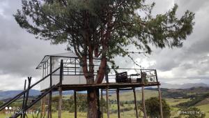 una casa en el árbol sentada en la parte superior de un árbol en Tu Glamping en Chocontá