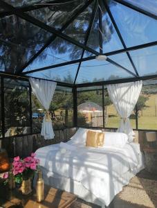 Gallery image of tu glamping s a s in Chocontá