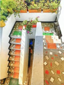 un jardín con algunas plantas en las escaleras en HOSTAL EL COLIBRI, en Puyo