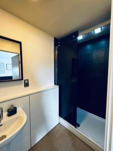 uma casa de banho com um lavatório e um chuveiro em 2 Bedroom Penthouse Birmingham em Birmingham