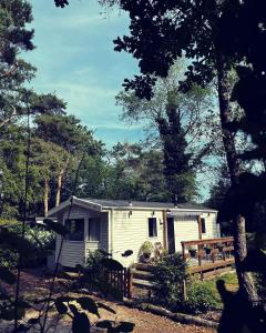 een klein wit huis midden tussen de bomen bij Knus chalet midden in de bossen in Nunspeet