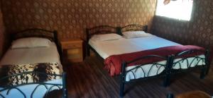 2 camas individuales en una habitación con ventana en Atef camp en Wadi Rum
