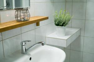 a bathroom with a sink and a plant on a shelf at u Jaňola in Oščadnica