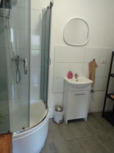 a bathroom with a shower and a sink and a mirror at Dom Mili in Henryków Lubański