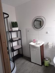 W łazience znajduje się umywalka i lustro. w obiekcie Dom Mili w mieście Henryków Lubański