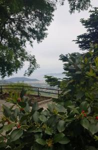 a view of a fence and some plants and trees at Archontiko Stafylopati in Makrinitsa