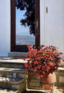 a plant in a pot next to a door at Archontiko Stafylopati in Makrinitsa