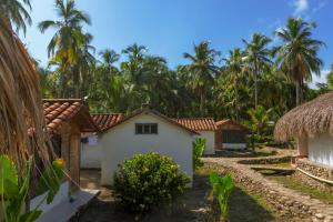 una casa frente a un grupo de cocoteros en Casa Grande Surf, en Guachaca