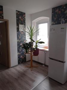 eine Küche mit Topfpflanzen auf einem Tisch und einem Kühlschrank in der Unterkunft Dom Mili in Henryków Lubański