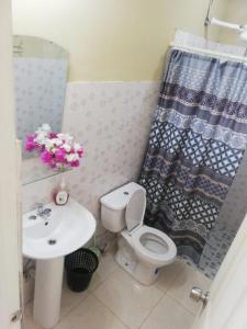 a bathroom with a toilet and a sink and a shower curtain at Hostal VILLAS DON PABLO LAS TABLAS in Las Tablas