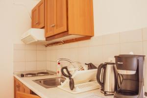 Kuchyň nebo kuchyňský kout v ubytování Apagio Apartments