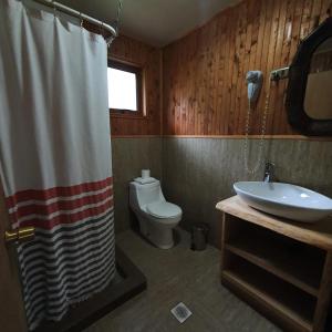 a bathroom with a toilet and a shower curtain at Cabañas El Maiten in Puerto Guadal