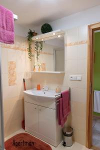 a bathroom with a sink and a mirror at Výprachtice L.V. in Výprachtice +20 photos
