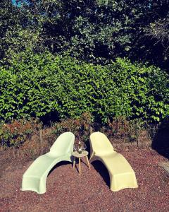 twee witte stoelen naast een tafel bij Heerlijk bos chalet met ongekende rust en vrijheid in Nunspeet