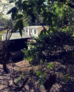 a house is seen through the leaves of trees at Heerlijk bos chalet met ongekende rust en vrijheid in Nunspeet