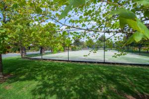 a tennis court with a tennis racket on it at Perricoota Vines Retreat in Moama