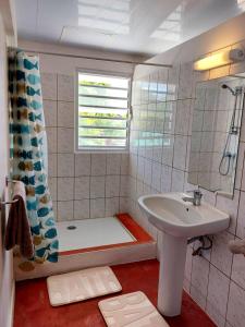 La salle de bains est pourvue d'un lavabo, d'une douche et d'une baignoire. dans l'établissement RAIATEA - Studio Tenape, à Tevaitoa