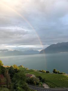 Paesaggio naturale nelle vicinanze dell'affittacamere