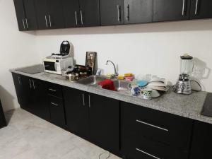 a kitchen counter with a sink and a microwave at Zidko Guest House in Ibarra