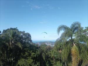 un pájaro volando sobre un bosque con palmeras en Casa do Mirante quarto 301 en Florianópolis