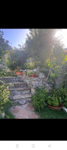 a stone path with plants and flowers on it at Casa Nani in Benaocaz