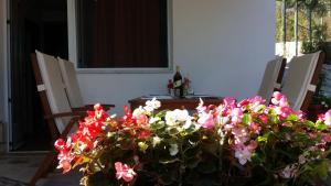a table with a bunch of flowers on it at Apartments Jurica in Drače