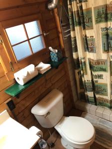 een badkamer met een toilet, een wastafel en een raam bij Lakeshore Lily Pad in Hayward