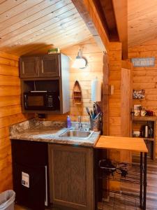 a kitchen with a sink in a wooden cabin at Lakeshore Lily Pad in Hayward