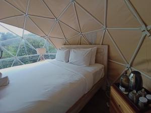 Cama en habitación con pared de cristal en Bali Jungle Camping by Amerta Experience en Tabanan
