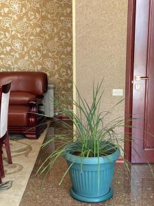 Imagen de la galería de Orsetto, en Sevan 35 fotos más