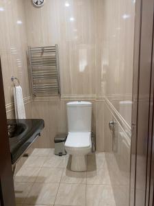 a bathroom with a toilet and a sink at Orsetto in Sevan +35 photos