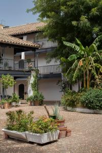 Vonkajšia záhrada v ubytovaní Andalusian Courtyard