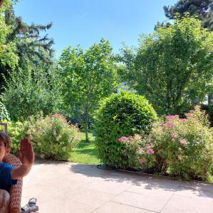 A garden outside Austria Center - Wien an der Donau
