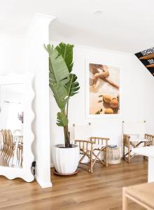 a potted plant sitting on a floor in a room at Casa Keys Shoal Bay in Shoal Bay