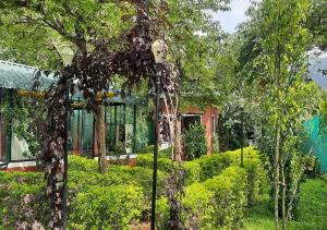 a garden with trees and bushes and a building at Red Carpet Cottage Masinagudi By Lexstays in Masinagudi