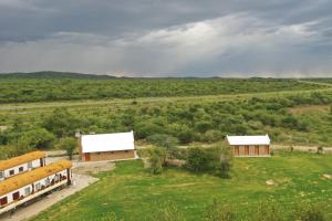 een overzicht van twee schoolbussen in een veld bij Conductor's Inn in Tsumeb