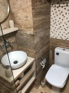 a bathroom with a toilet and a sink at Family Home in Cheia +20 photos
