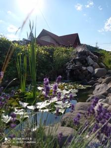 Gallery image of Casa Bokor in Sovata