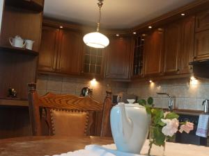 Kuchnia lub aneks kuchenny w obiekcie Apartament Kościuszki