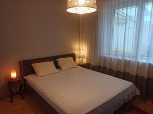 sypialnia z łóżkiem z żyrandolem i oknem w obiekcie Apartament Kościuszki w Kielcach
