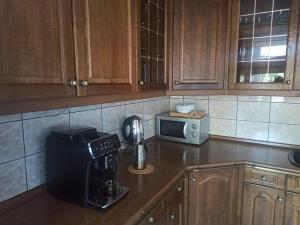 Kuchnia lub aneks kuchenny w obiekcie Apartament Kościuszki