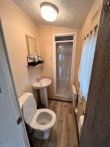 een kleine badkamer met een toilet en een wastafel bij Le Père André Hotton in Hotton
