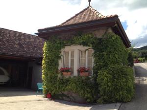 une maison recouverte de lierre vert avec une fenêtre dans l'établissement La Tourelle, à Tartegnin