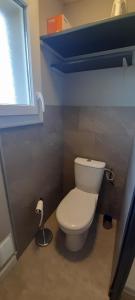 a bathroom with a white toilet and a window at La Grangette du Mas in Chassiers